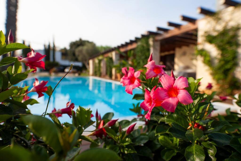 Spaziosa Villa Con Piscina E Giardino, Polignano A Mare Dış mekan fotoğraf
